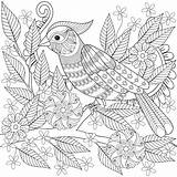 Zentangle Bird Tree Blooming Branch Drawn Sitting Ad Hand Coloring Preview sketch template