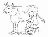 Cow Coloring Pages Farmer Taking Milk Grayscale Beautiful sketch template