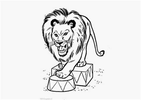 circus lion coloring pages  coloring pages  coloring books