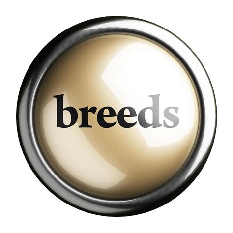 breeds word  isolated button  stock photo  vecteezy