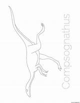 Compsognathus Coloring Tracing Pages Dinosaur Printable sketch template