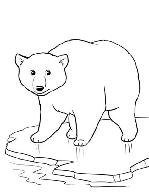 coloring pages winter polar bear polar bear color bear coloring