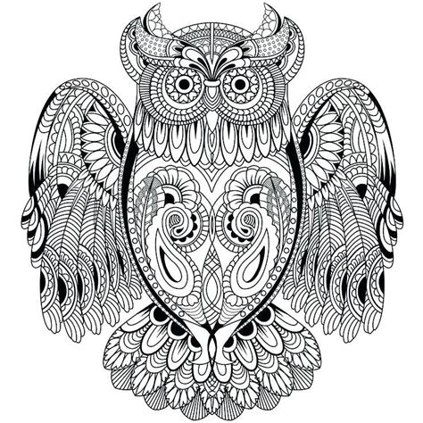 printable owl coloring pages  adults   owl coloring