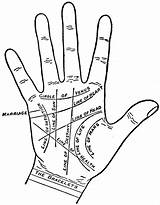 Palm Reading Clipart Clipground sketch template