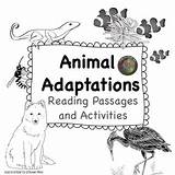 Adaptations Passages Informational sketch template