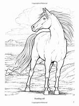Coloring Pages John Green Horse Horses Drawing Book Dover Wonderful Amazon Printable Color Nature Draw Books Adult Patterns Getdrawings Choose sketch template