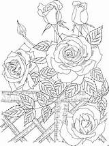 Zaun Blumen Malvorlage Titel Malvorlagen sketch template