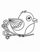 Bird Coloring Canary Pages Outline Begin Fly Getcolorings sketch template