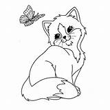 Katzen Ausmalbilder Ausdrucken Kostenlos Vorlage Ausmalen Vorlagen Schönsten Zeichnen Malvorlagen sketch template