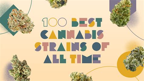strains   time  top cannabis strains   leafly