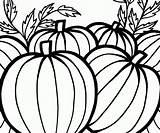 Pumpkin Coloring Pages Pumpkins Thanksgiving Patch Printable Seed Drawing Sheet Celebrate Harvest Color Fall Kids Template Adults Fantasy Clipartmag Print sketch template
