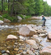 Image result for West Branch Upper Ammonoosuc River. Size: 174 x 185. Source: nativefishcoalition.org