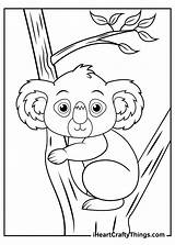 Koala Koalas Iheartcraftythings Furry Possibly Preparing sketch template