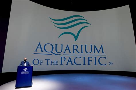 Aquarium Of The Pacific To Reopen With New Exhibits And Safety