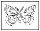 Coloring Caterpillar Pages Butterfly Carle Eric Hungry Printable Very Drawing Color Simple Cocoon Kids Sheet Book Clipart Flower Sheets Drawings sketch template