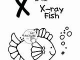 Ray Coloring Fish Getcolorings sketch template