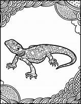 Lizard Lizards Laurenzside sketch template
