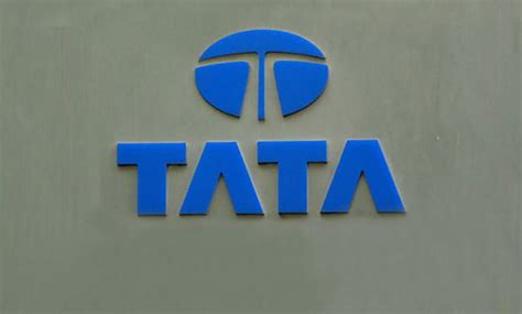 tata group picks  bidding document  ipl title sponsorship