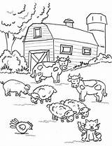 Barnyard sketch template