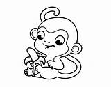 Scimmia Macaco Colorear Disegno Desenho Scimmie Singe Monito Selva Banane Acolore Plátano Stampare Animali Jirafa Platano Utente Appesa Presumida Aperte sketch template