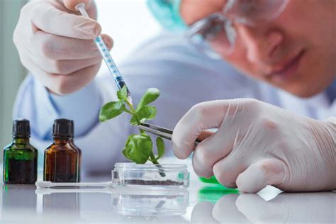 tout ce  vous devez savoir sur la biotechnologie vegetale