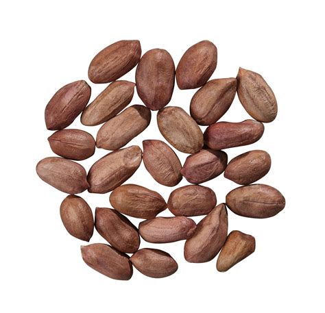 peanut kernels large type arar trading