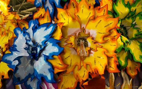 flowers  mardi gras world beautiful flower pictures blog