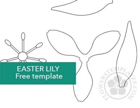 lilies flowers templates