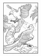 Archaeopteryx sketch template