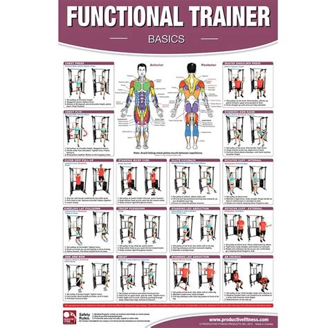 productive fitness posters functional trainer basics advanced home exercise ebay