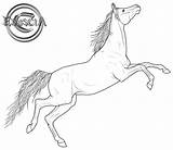 Horse Coloring Arabian Pages Lineart Drawing Deviantart Line Horses Friesian Clipart Mustang Realistic Getdrawings Transparent Book Adult Face Colouring Color sketch template