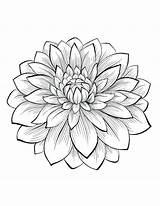 Realistic Flowers Flower Coloring Pages Drawing Getdrawings sketch template