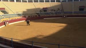 swedish porn star jumps into spanish bullring before being
