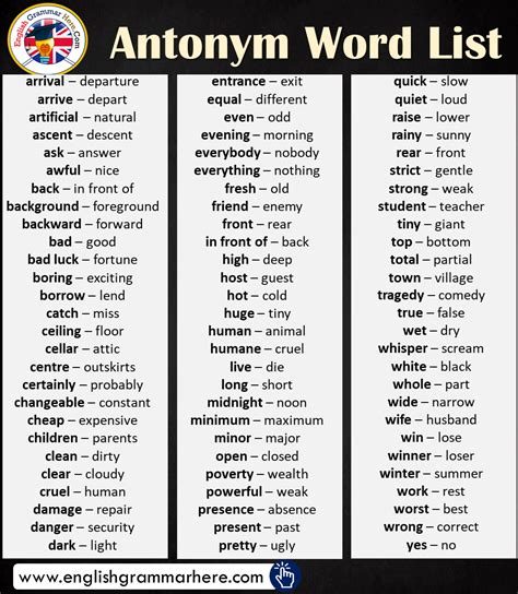 antonym word list  english english grammar
