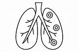 Bronchitis Lungs Thehungryjpeg sketch template