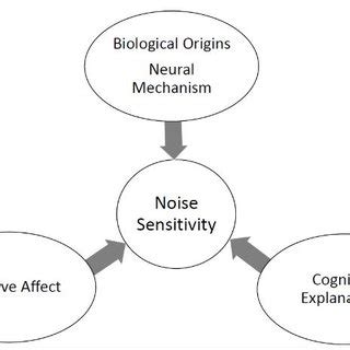 studying  origins  noise sensitivity negative affect  biological factors