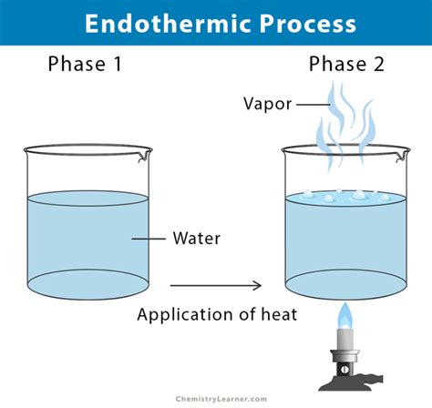 endothermic reaction definition equation graph examples