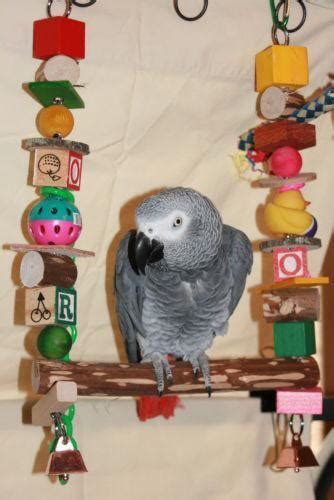 large parrot toys ebay