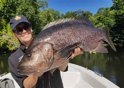 Why Papua New Guinea’s Black Bass Should Be Top Of Every Anglers