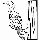 Cormorant Coloring Pages Color Online Bird Pied Little Animals sketch template