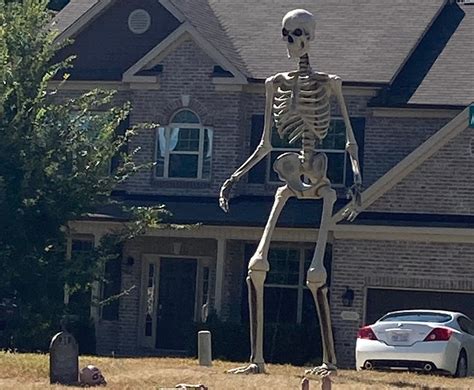 home depots gigantic skeleton  halloween decoration   year