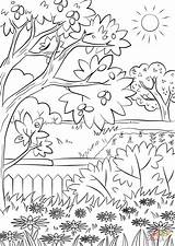 Coloring Garden Pages Printable Summer Awesome Entitlementtrap sketch template