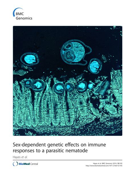 Pdf Sex Dependent Genetic Effects On Immune Responses To