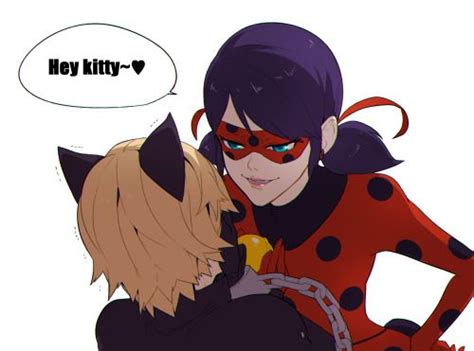 pin by ~🐻 oliver vandercook 🐻~ on miraculous ladybug Кот