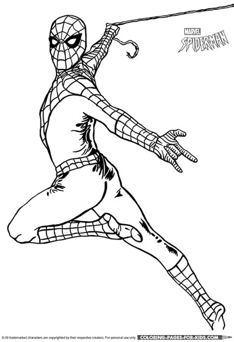 spider man coloring picture spider man