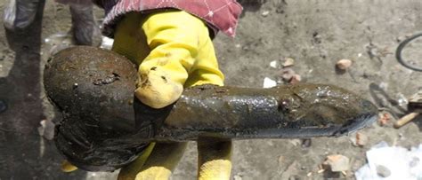 18th Century Sex Toy Found By Archaeologists At Ancient