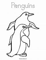 Penguins Coloring Built California Usa sketch template