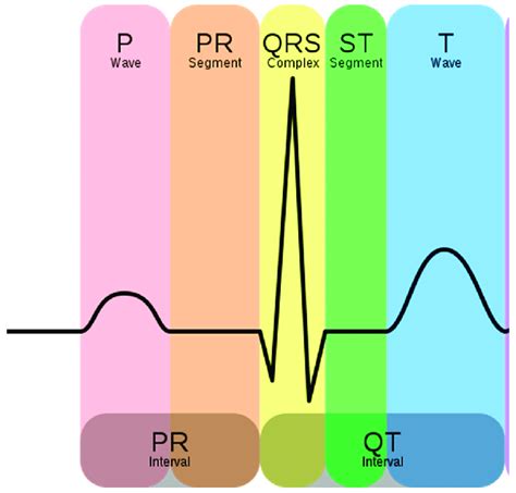 Schematic Representation Of A Normal Electrocardiogram Ecg P Q R