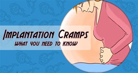 Where Does Implantation Occur Pregnancy Test