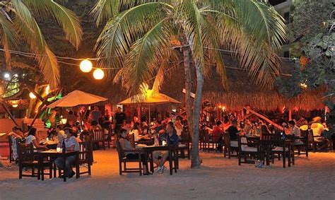 party moomba beach bar and restaurant palm eagle beach